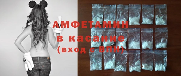 крисы Новодвинск