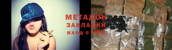сатива Няндома
