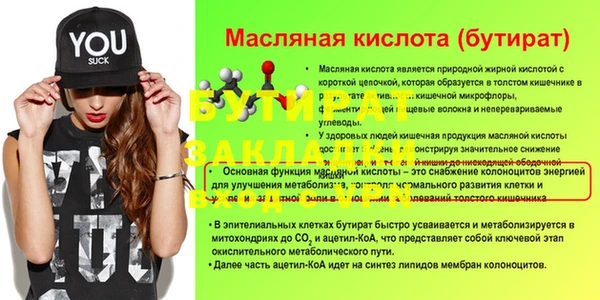 сатива Няндома