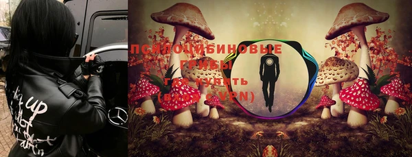 2c-b Новозыбков