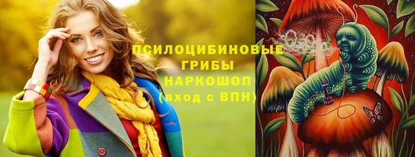 2c-b Новозыбков