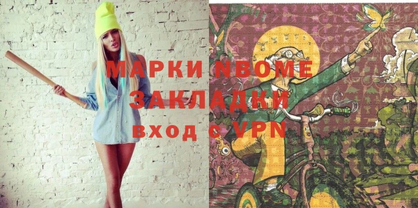 крисы Новодвинск