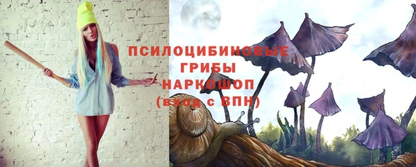крисы Новодвинск