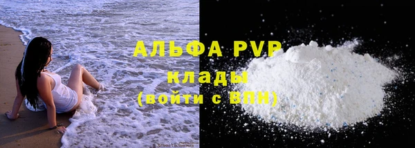 крисы Новодвинск