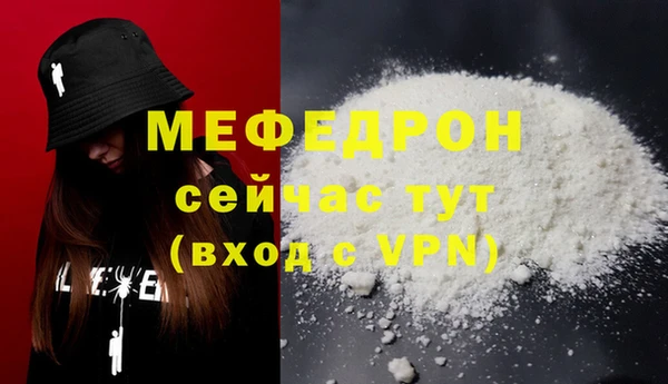 сатива Няндома