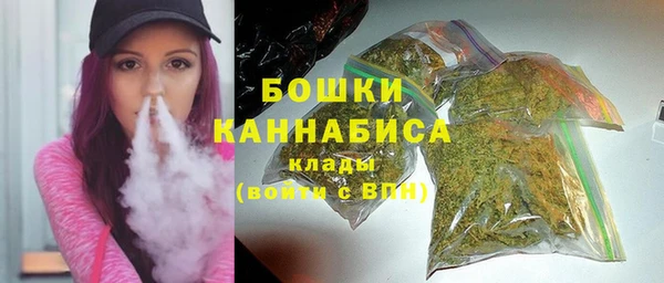 2c-b Новозыбков