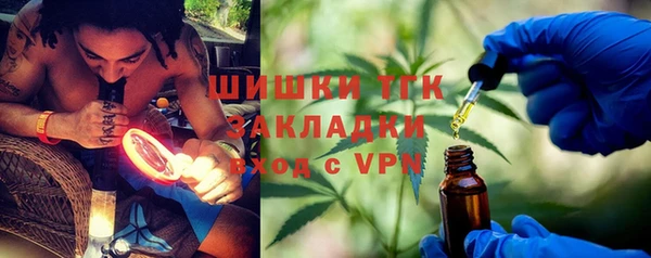 2c-b Новозыбков