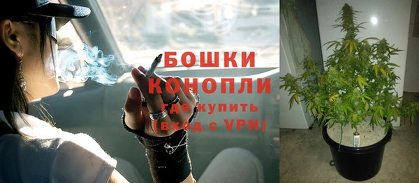 СК Нягань