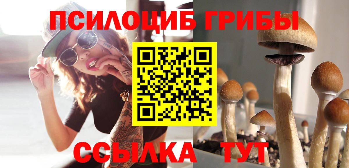 Псилоцибиновые грибы ЛСД Тосно