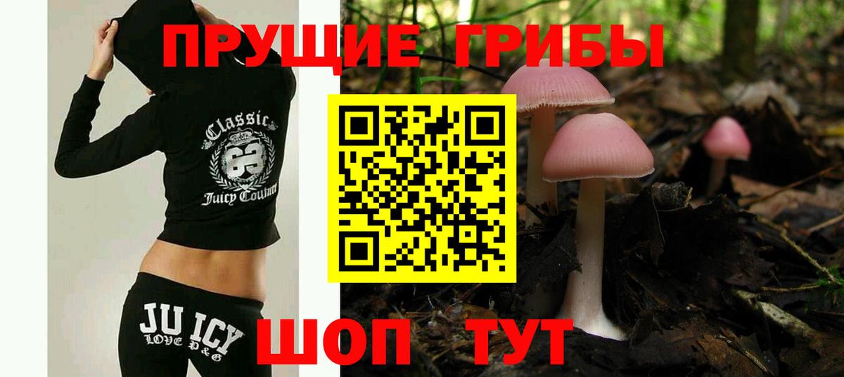 Псилоцибиновые грибы мицелий  Галлюциногенные грибы прущие грибы  где купить   Вход с VPN  Тосно 